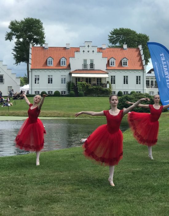 Dansere fra livstilsmesse